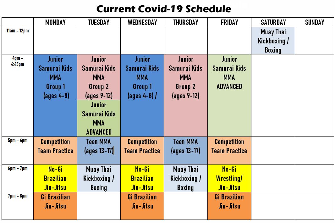 Toshido Mixed Martial Arts Class Schedule